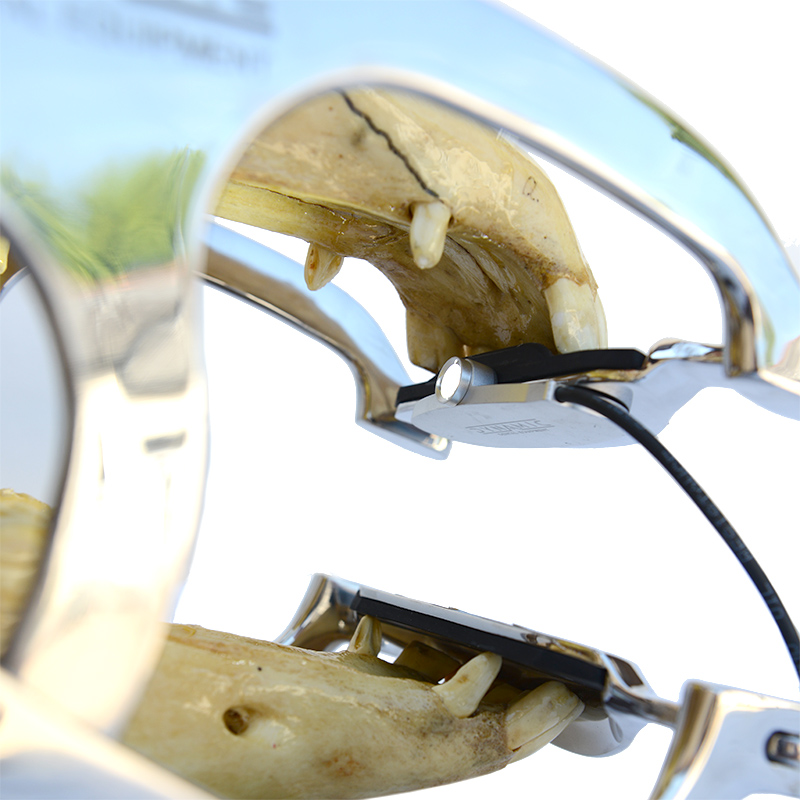 DYNAMIC Magnetic Speculum Light - Image 6