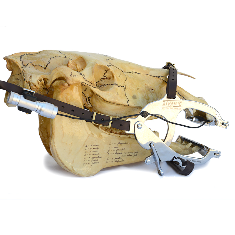 DYNAMIC Magnetic Speculum Light - Image 4