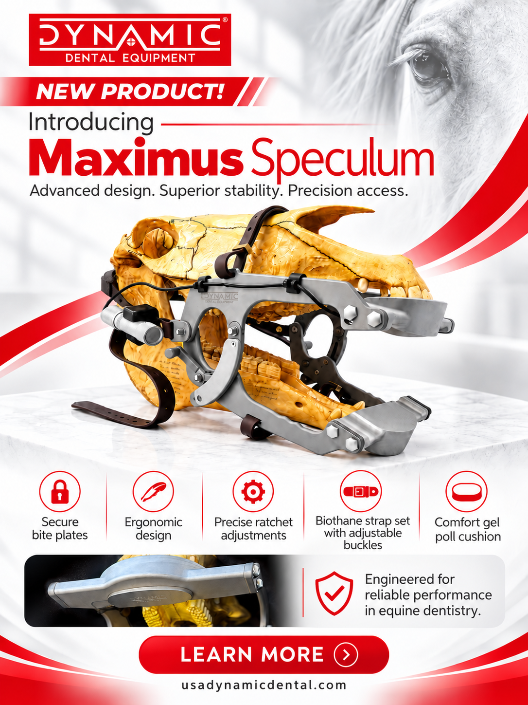 NEW DYNAMIC Maximus Speculum | Equine Dental Equipment Copy
