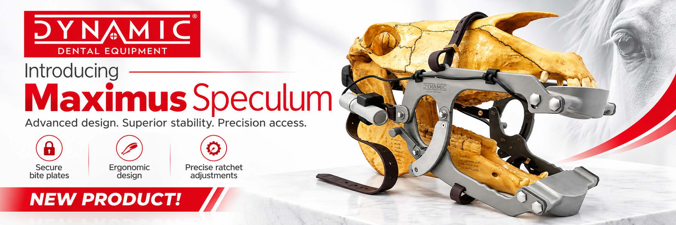 introducing DYNAMIC Maximus Horse Dental Speculum DYNAMIC Maximus Equine Dental Speculum with adjustable Biothane straps, secure bite plates, and ergonomic ratchet system
